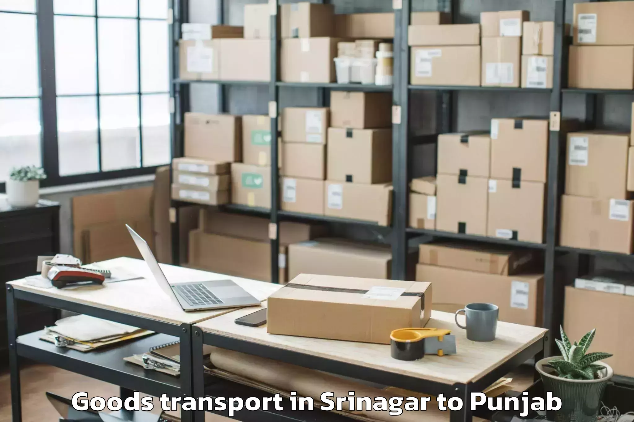 Quality Srinagar to Dinanagar Goods Transport